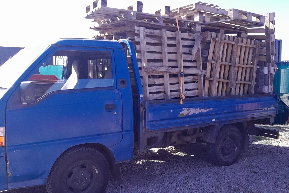 AM Skips - AM Skips Lends a Paw to ODIN Dogs in Need AM Skips - AM Skips Lends a Paw to ODIN Dogs in Need