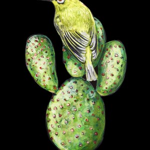 White Eye and the Cactus