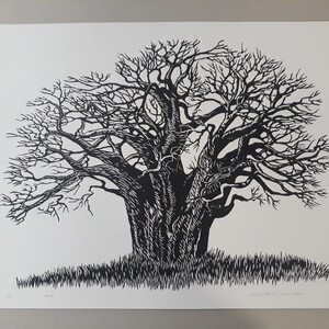 Baobab