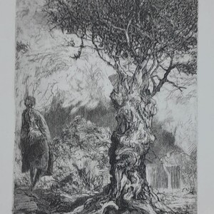Boerboom Boerboom Fontein