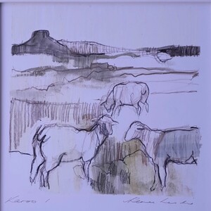 Karoo 1