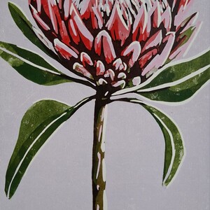 King Protea