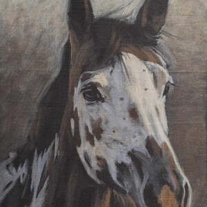 Patchy Mustang