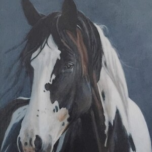 Mustang