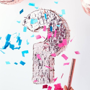 Gender Reveal Theme