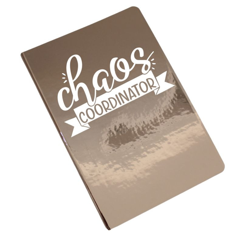 Daily Chaos Coordinator' Baby Bib