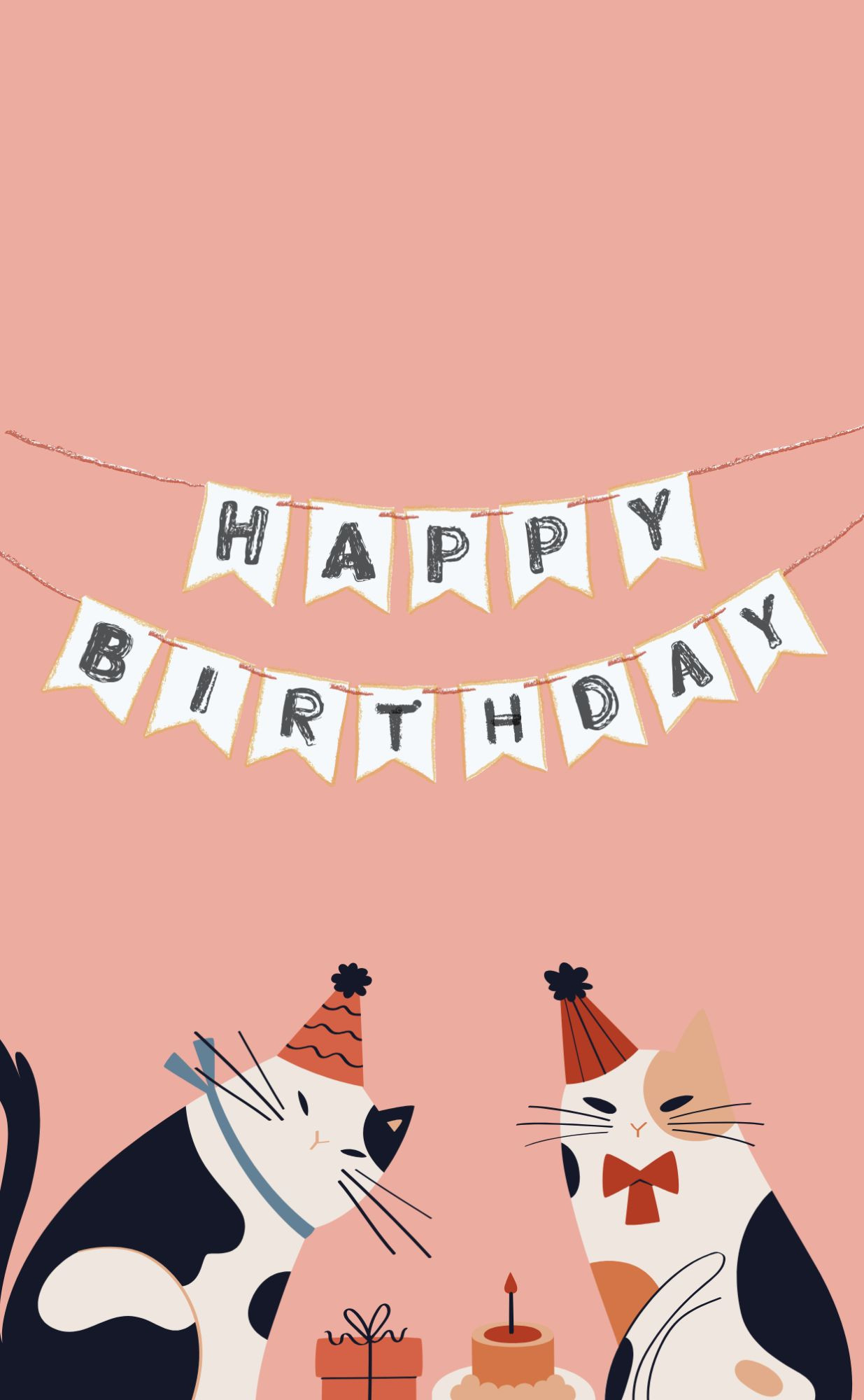 Happy Birthday Cat Wrapper