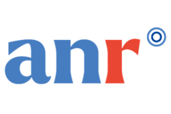 French National Research Agency (ANR) French National Research Agency (ANR)