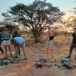 Wildlife conservation ecology in fence-protected areas