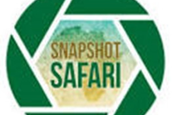 Snapshot Safari