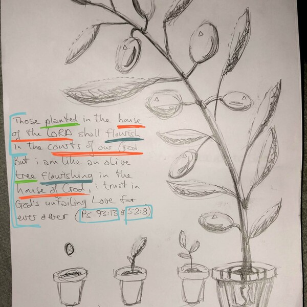 IMG-20250622-WA0008.jpg doodle