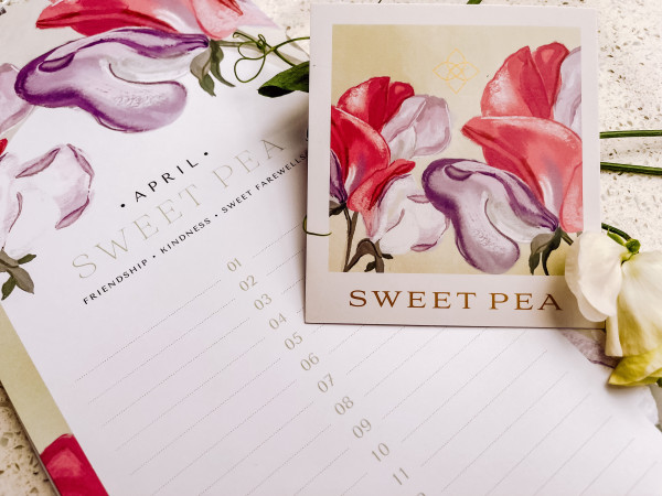 Floral Gift Card Set